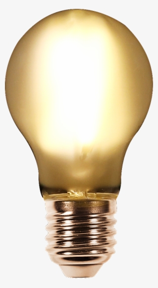 Extra Large - Incandescent Light Bulb
