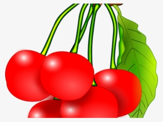 Cherry Clipart Kind Fruit - Cherry Fruit Clipart