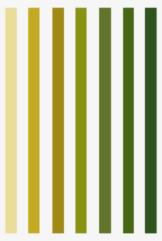 #patern #patterns #pattern #lines #line #greenlines - Pattern
