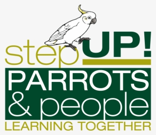 International Parrots 2020 Convention - Lit Lounge