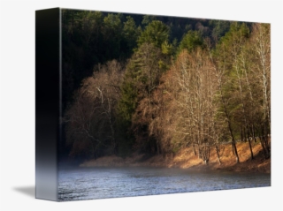 "clarion River In Fog And Sunlight" By Stephen Sepan, - Woodland