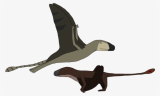 1024 X 617 6 - Duck