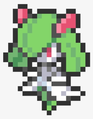 Random Image From User