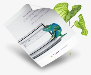 Featured Resources