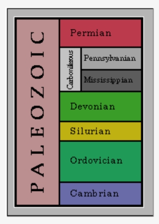 Amphibian-like Creatures That Were Ancestors Of Fish, - Timeline Permian Time Period