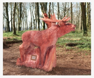 New Woodland Sculptures Unveiled - Sculpture Trail At Fforest Fawr