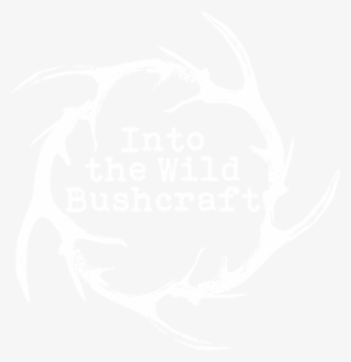 Into The Wild - Graphic Design