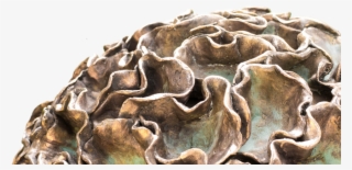 I Think That By Doing Everything Myself I Can Add An - Two Needle Pinyon Pine