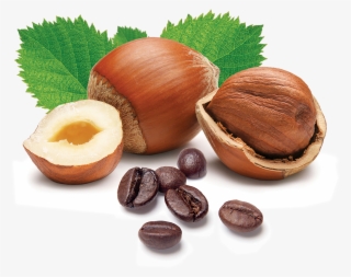 Hazelnut Latte Nsa - Hazelnuts Png