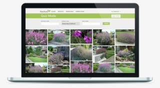 Built-in Quizzing Tools