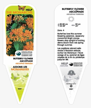 Look For Some Of These Tags - English Marigold