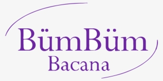 Bumbum Bacana Fitness Apparel - Chicago Title Insurance Company