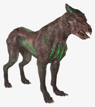 Alpha Glowing Mongrel - Dog Yawns