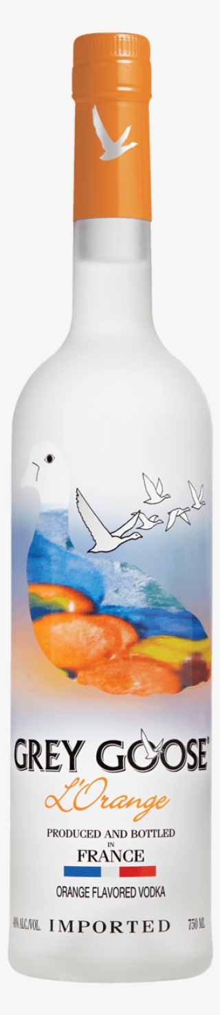 Grey Goose Vodka - Grey Goose L Orange Vodka