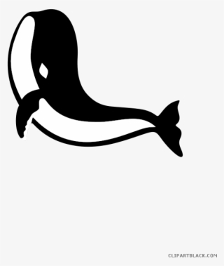 Black And White Shark Animal Free Black White Clipart - Paus Animasi