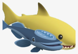 Whale Shark Clipart Wiki - Great White Shark