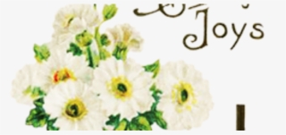 Easter Flowers Can Be Ordered To Beautify Our Sanctuary - Needlework