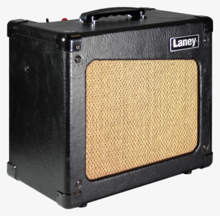 1 - Laney Cub 10
