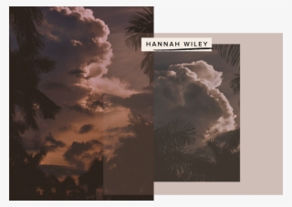 Kaurspace 02 Header Hannah - Attalea Speciosa