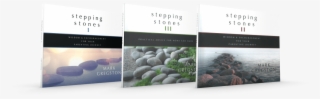 Stepping Stones-set - Science Book