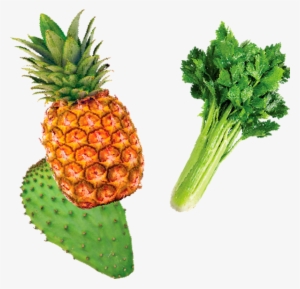 Piña Apio Y Nopal - Pineapple