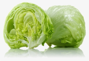 Iceberg Lettuce