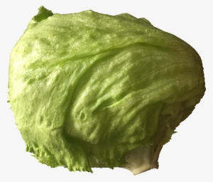 Medium Image - Clipart Image Of Lettuce