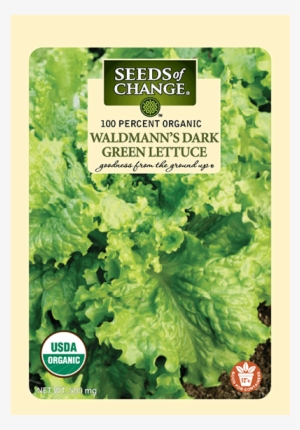 Organic Waldmann's Dark Green Lettuce Seeds