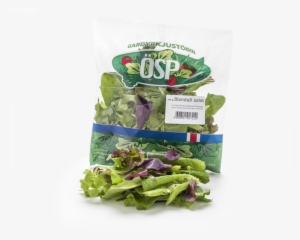 Lettuce Clipart Romaine Lettuce Vegetarian Cuisine - Salah