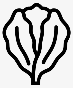 Image Library Stock Icon Free Download Png And The - Lettuce Icon Png