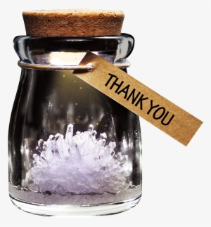 Diy Growing Crystal Wish Flower