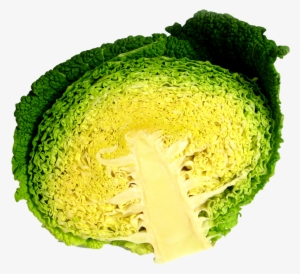 Cabbage Half Png Image - Portable Network Graphics