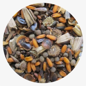 Germany - 1601-1800 - Minor Coins - Manlia