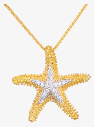 2015 04 25 14 01 06 Dw Upss22d - Star Fish Pendant