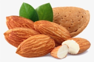 Almond Free Download Png - Dry Fruit Clip Art