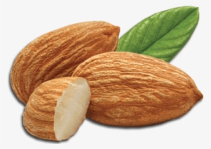 Nuts - Almond Png Transparent