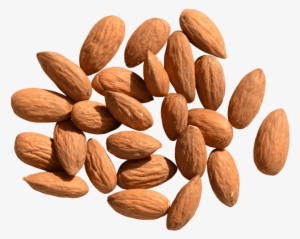 Free Png Almond Png Images Transparent - Almond Png