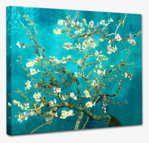 Almond Blossom Van Gogh Museum - Branches Vincent Van Gogh