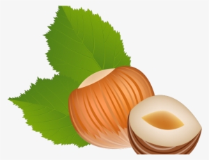 Autumn Free On Dumielauxepices - Hazelnut Clipart