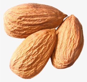 Isolated-almonds3 - Almond