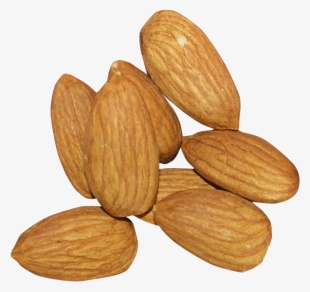Free Png Almond Png Images Transparent - Almond