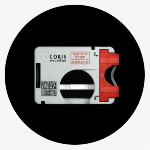 Img Blog Trapist Machine Cercle Img Blog Trapist Puce - Business