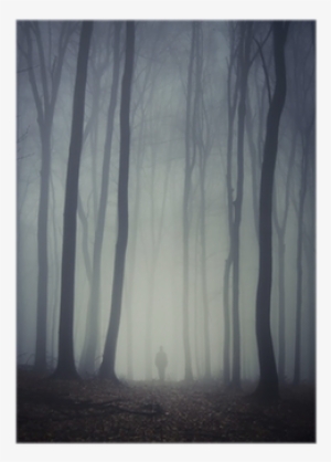 Man Walking On Path Through Spooky Dark Forest Poster - Still Life