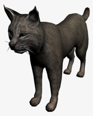 Bobcat - Lince Red Dead Redemption