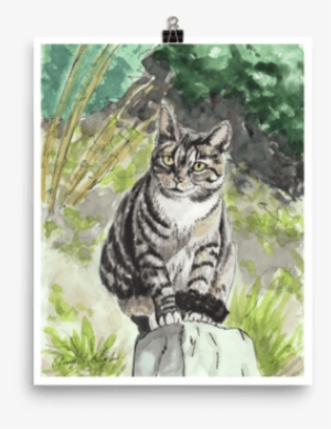 00 $28 - Tabby Cat