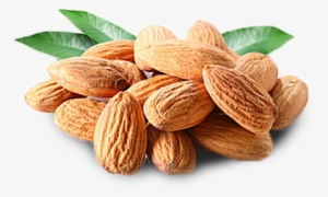 Almond - Роберт Дауни Младший Png