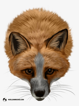 Pet Fox Cases - Silver Fox Red Fox