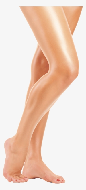 Legs Transparent - Legs Transparent Png