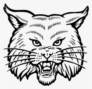 Transparent Bobcat - Art Print: Pop Ink - Csa Images' Bobcat, 30x30in.