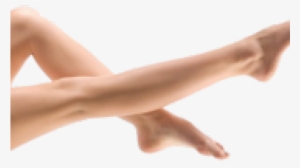Legs Png Background Image - Legs